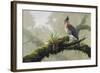 Ornate Hawk - Eagle-Harro Maass-Framed Giclee Print