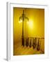 Ornate Lamp and Stairway, Rio de Janiero, Brazil-Tom Haseltine-Framed Photographic Print