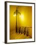 Ornate Lamp and Stairway, Rio de Janiero, Brazil-Tom Haseltine-Framed Photographic Print