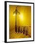 Ornate Lamp and Stairway, Rio de Janiero, Brazil-Tom Haseltine-Framed Photographic Print