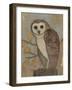 Ornate Owl II-Norman Wyatt Jr.-Framed Art Print