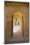 Ornate Palace Doorway, Jaisalmer, Western Rajasthan, India, Asia-Doug Pearson-Mounted Photographic Print