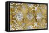 Ornate Panel I-Ellie Roberts-Framed Stretched Canvas