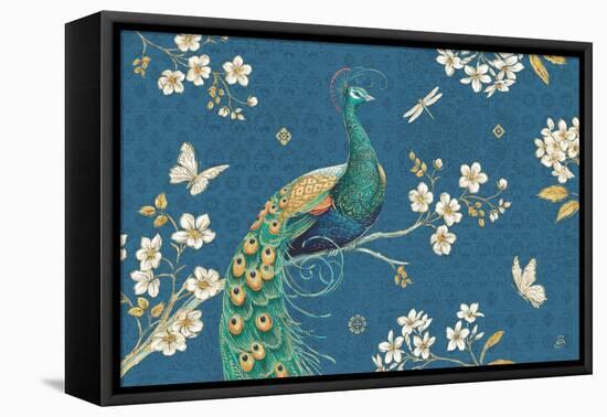 Ornate Peacock III Master-Daphne Brissonnet-Framed Stretched Canvas