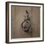 Ornate Rapper-Assaf Frank-Framed Giclee Print