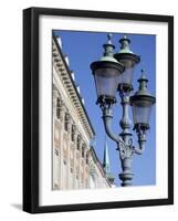 Ornate Street Lamp, Copenhagen, Denmark, Scandinavia, Europe-Frank Fell-Framed Photographic Print