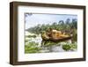 Ornate Tourist Boats Near the South Gate at Angkor Thom-Michael Nolan-Framed Photographic Print