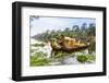 Ornate Tourist Boats Near the South Gate at Angkor Thom-Michael Nolan-Framed Photographic Print