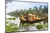 Ornate Tourist Boats Near the South Gate at Angkor Thom-Michael Nolan-Mounted Photographic Print