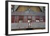 Ornate Traditional Batak Painted Carvings on Large Batak Style Catholic Church-Annie Owen-Framed Photographic Print