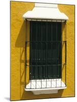 Ornate Window, Ciudad Bolivar, Venezuela, South America-Mark Chivers-Mounted Photographic Print