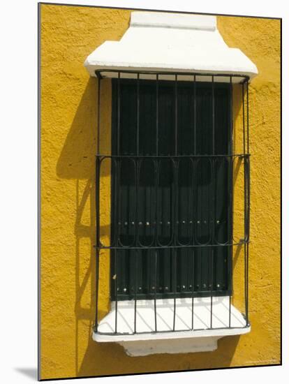 Ornate Window, Ciudad Bolivar, Venezuela, South America-Mark Chivers-Mounted Photographic Print