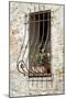 Ornate Window Grill Cetona-Dorothy Berry-Lound-Mounted Giclee Print