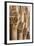 Ornately Carved Collumns-Doug Pearson-Framed Photographic Print