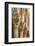 Ornately Carved Collumns-Doug Pearson-Framed Photographic Print