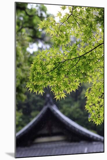 Ornately Designed Roof and Japanese Maple Leaves at the Golden Temple, Kyoto, Japan-Paul Dymond-Mounted Photographic Print