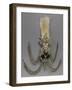 Ornement de turban-null-Framed Giclee Print