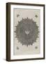 Ornements-Leonardo da Vinci-Framed Giclee Print