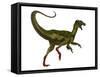 Ornitholestes Dinosaur, White Background-Stocktrek Images-Framed Stretched Canvas