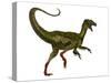 Ornitholestes Dinosaur, White Background-Stocktrek Images-Stretched Canvas