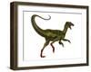 Ornitholestes Dinosaur, White Background-Stocktrek Images-Framed Art Print