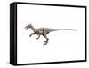 Ornitholestes Dinosaur-null-Framed Stretched Canvas