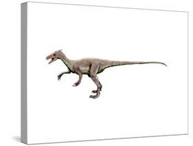 Ornitholestes Dinosaur-null-Stretched Canvas