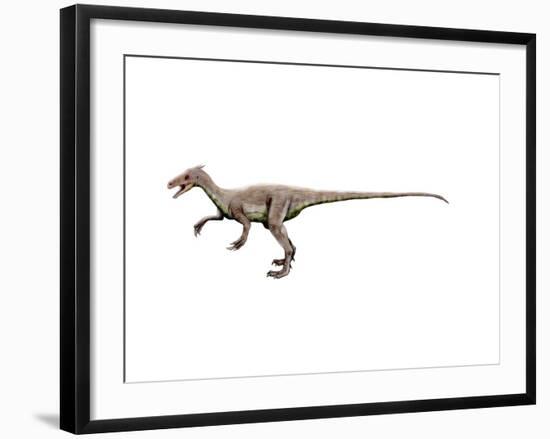Ornitholestes Dinosaur-null-Framed Art Print