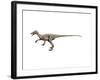 Ornitholestes Dinosaur-null-Framed Art Print