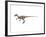 Ornitholestes Dinosaur-null-Framed Art Print