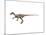 Ornitholestes Dinosaur-null-Mounted Art Print