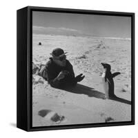 Ornithologist Photographing Native Penguin-Fritz Goro-Framed Stretched Canvas