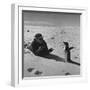 Ornithologist Photographing Native Penguin-Fritz Goro-Framed Photographic Print