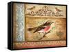 Ornithology-Gregory Gorham-Framed Stretched Canvas