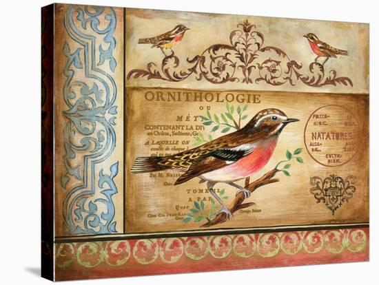 Ornithology-Gregory Gorham-Stretched Canvas