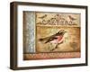 Ornithology-Gregory Gorham-Framed Art Print