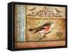 Ornithology-Gregory Gorham-Framed Stretched Canvas