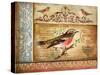 Ornithology-Gregory Gorham-Stretched Canvas