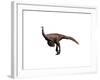 Ornithomimus Dinosaur-null-Framed Art Print