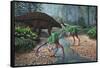 Ornithomimus Swallowing Stones Along a Stream as Part of their Diet-null-Framed Stretched Canvas