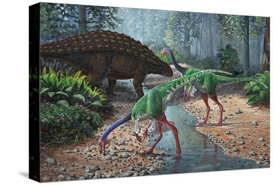 Stretched Canvas Print, , large