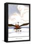 Ornithopter-null-Framed Stretched Canvas