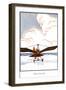 Ornithopter-null-Framed Art Print