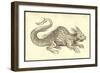 Orobonis Piscis Effigies-Ulisse Aldrovandi-Framed Art Print