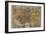 Oronce Fine's World Map, 1531-Library of Congress-Framed Photographic Print