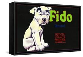 Orosi, California, Fido Brand Citrus Label-Lantern Press-Framed Stretched Canvas