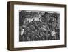 Orphan's Footwear-null-Framed Photographic Print