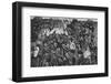 Orphan's Footwear-null-Framed Photographic Print
