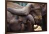 Orphaned Elephants at Play-Paul Souders-Framed Photographic Print