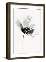 Orpheus Petals II-null-Framed Art Print